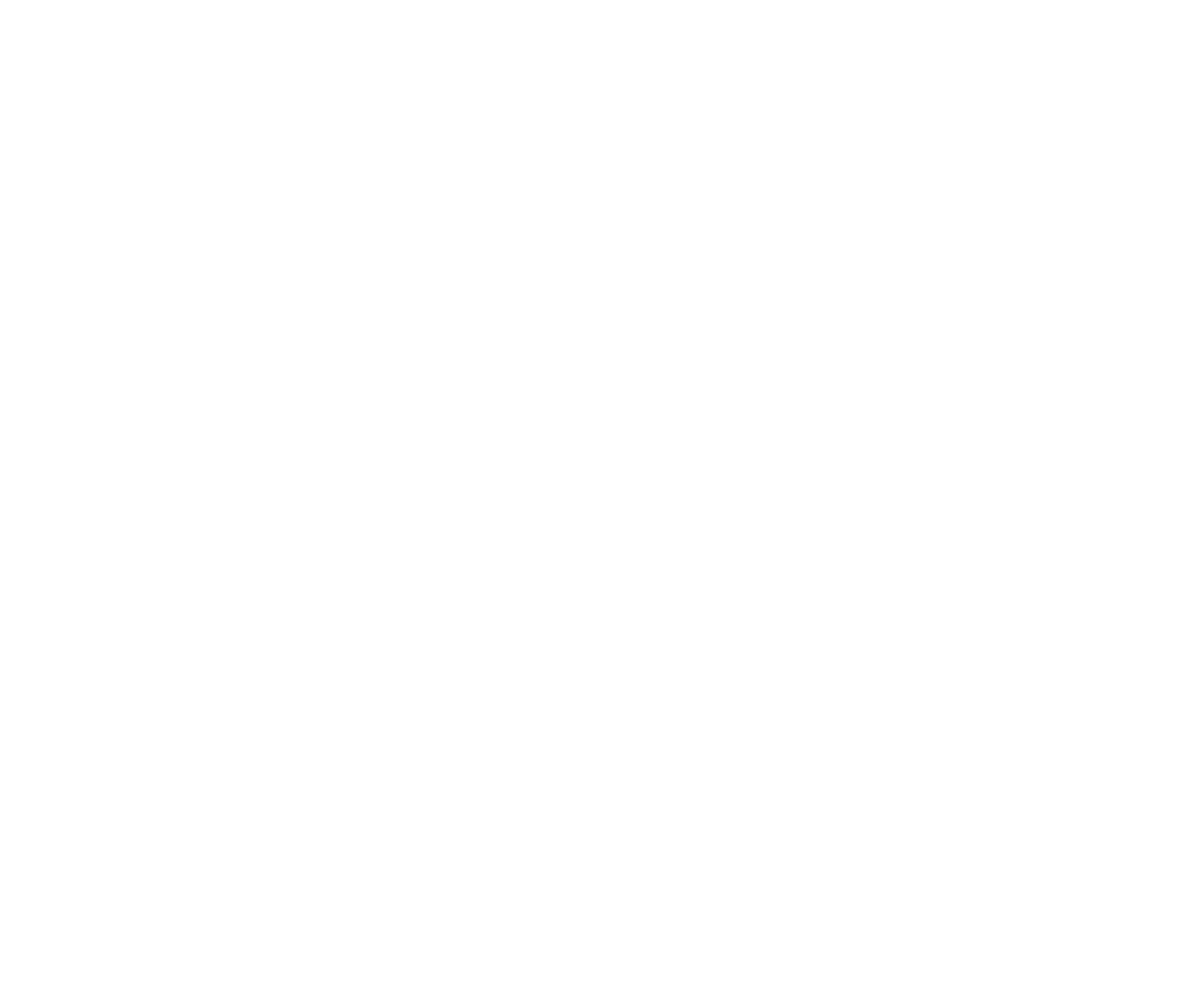 logo brosmedia biale